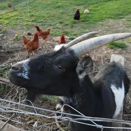 Rue De L'ange * Hunspach