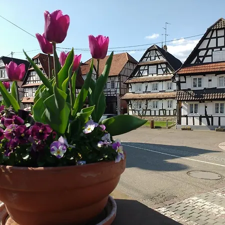 Rue De L'ange 아파트